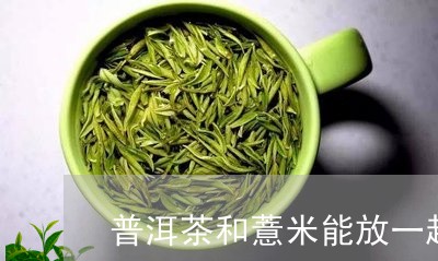 普洱茶和薏米能放一起泡水喝吗/2023053058704