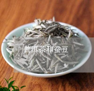 普洱茶和蚕豆/2023042886138