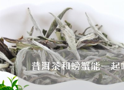 普洱茶和螃蟹能一起吃/2023061515359