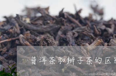 普洱茶和辫子茶的区别/2023100721936