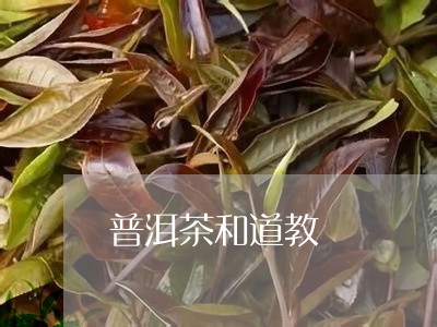 普洱茶和道教/2023091375957