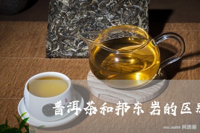 普洱茶和邦东岩的区别/2023092881815