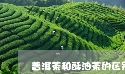 普洱茶和酥油茶的区别/2023092748481