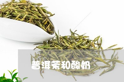 普洱茶和酸奶/2023042946971