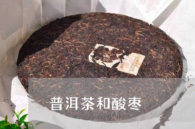 普洱茶和酸枣/2023042802791