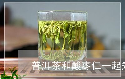 普洱茶和酸枣仁一起煮/2023092663514