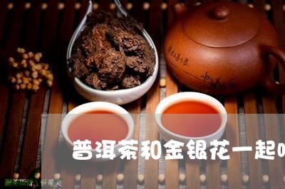 普洱茶和金银花一起喝/2023061565382