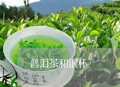 普洱茶和银杯/2023042873204