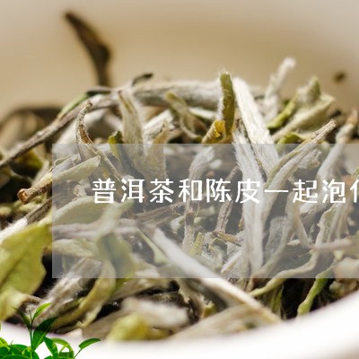 普洱茶和陈皮一起泡什么季节可以喝/2023060343648