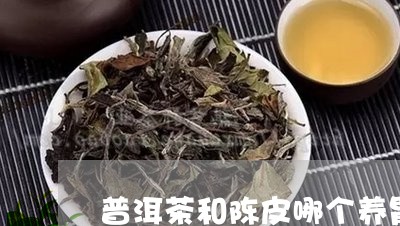 普洱茶和陈皮哪个养胃好/2023112541604