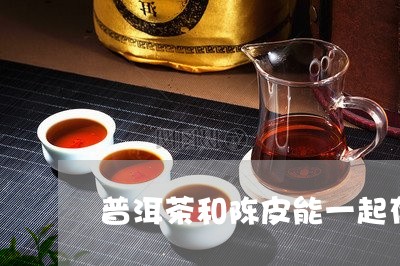 普洱茶和陈皮能一起存放吗/2023051053914