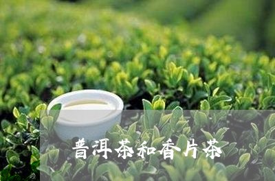 普洱茶和香片茶/2023102632696