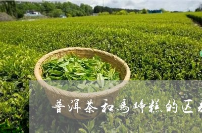 普洱茶和马蹄糕的区别/2023072482937