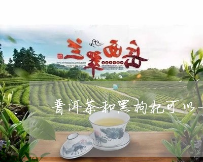 普洱茶和黑枸杞可以一起泡吗/2023052756293