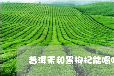 普洱茶和黑枸杞能喝吗/2023092791725