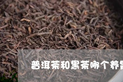 普洱茶和黑茶哪个养胃/2023080340747