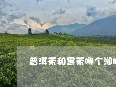 普洱茶和黑茶哪个润肠/2023080339370