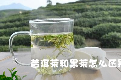 普洱茶和黑茶怎么区别/2023080369603