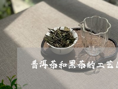 普洱茶和黑茶的工艺区分/2023083075290