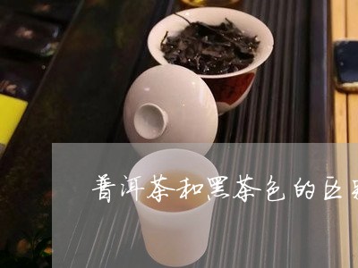 普洱茶和黑茶色的区别/2023093081604