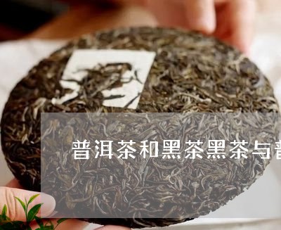 普洱茶和黑茶黑茶与普洱茶哪个好/2023060302606