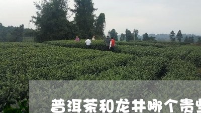 普洱茶和龙井哪个贵些呢/2023110137281