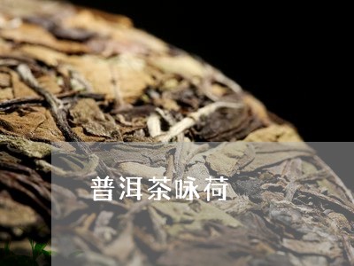 普洱茶咏荷/2023090640705