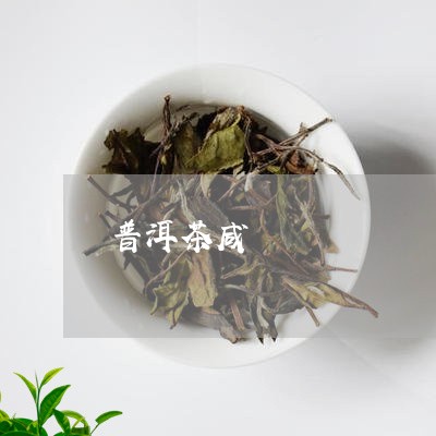 普洱茶咸/2023090174927