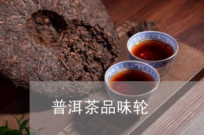 普洱茶品味轮/2023042750763