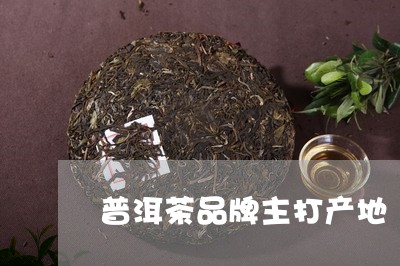 普洱茶品牌主打产地/2023120570594