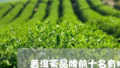 普洱茶品牌前十名有哪些牌子/2023082638379