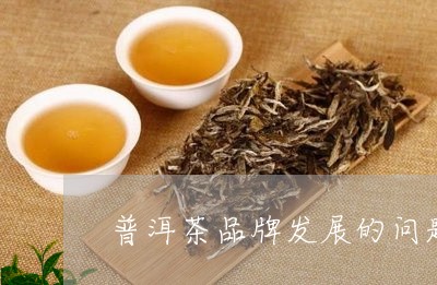 普洱茶品牌发展的问题/2023100860482