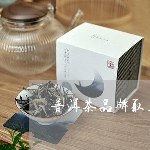 普洱茶品牌取名猪八戒/2023072258315