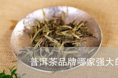 普洱茶品牌哪家强大的/2023110626930