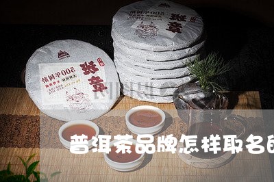 普洱茶品牌怎样取名的呢/2023082702808