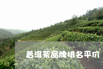 普洱茶品牌排名平价/2023070916149