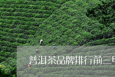 普洱茶品牌排行前三甲/2023092636147