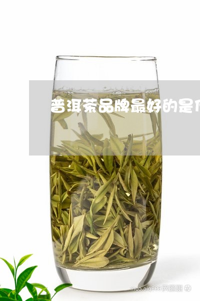 普洱茶品牌最好的是什么/2023050755816