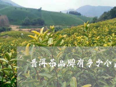 普洱茶品牌有多少个店/2023083011482