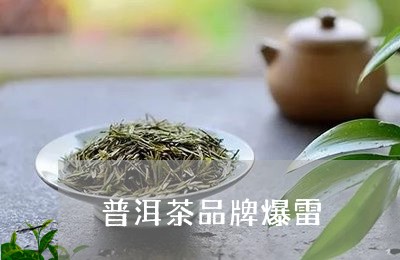 普洱茶品牌爆雷/2023110945937