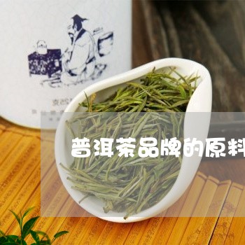 普洱茶品牌的原料特点是什么/2023052809382