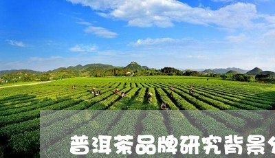 普洱茶品牌研究背景分析/2023112760514