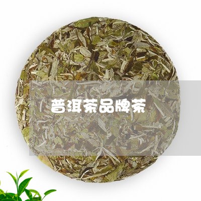 普洱茶品牌茶/2023042872712