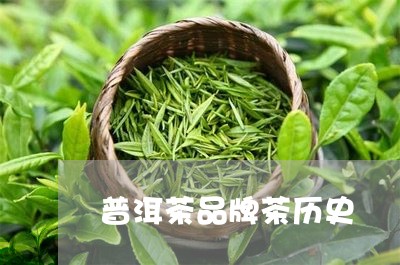 普洱茶品牌茶历史/2023120446240