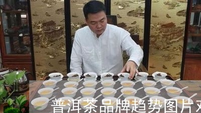 普洱茶品牌趋势图片对比/2023082785483