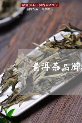 普洱茶品牌都有啥茶叶啊/2023103184928