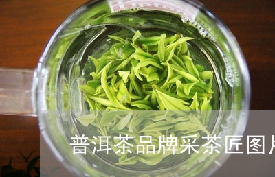 普洱茶品牌采茶匠图片高清/2023110655240