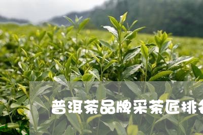 普洱茶品牌采茶匠排名第一/2023082852616