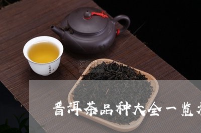 普洱茶品种大全一览表及图片/2023082831694