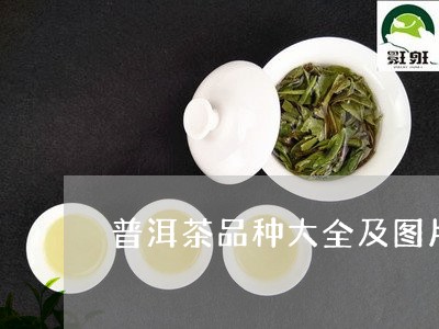 普洱茶品种大全及图片及功效/2023052849582